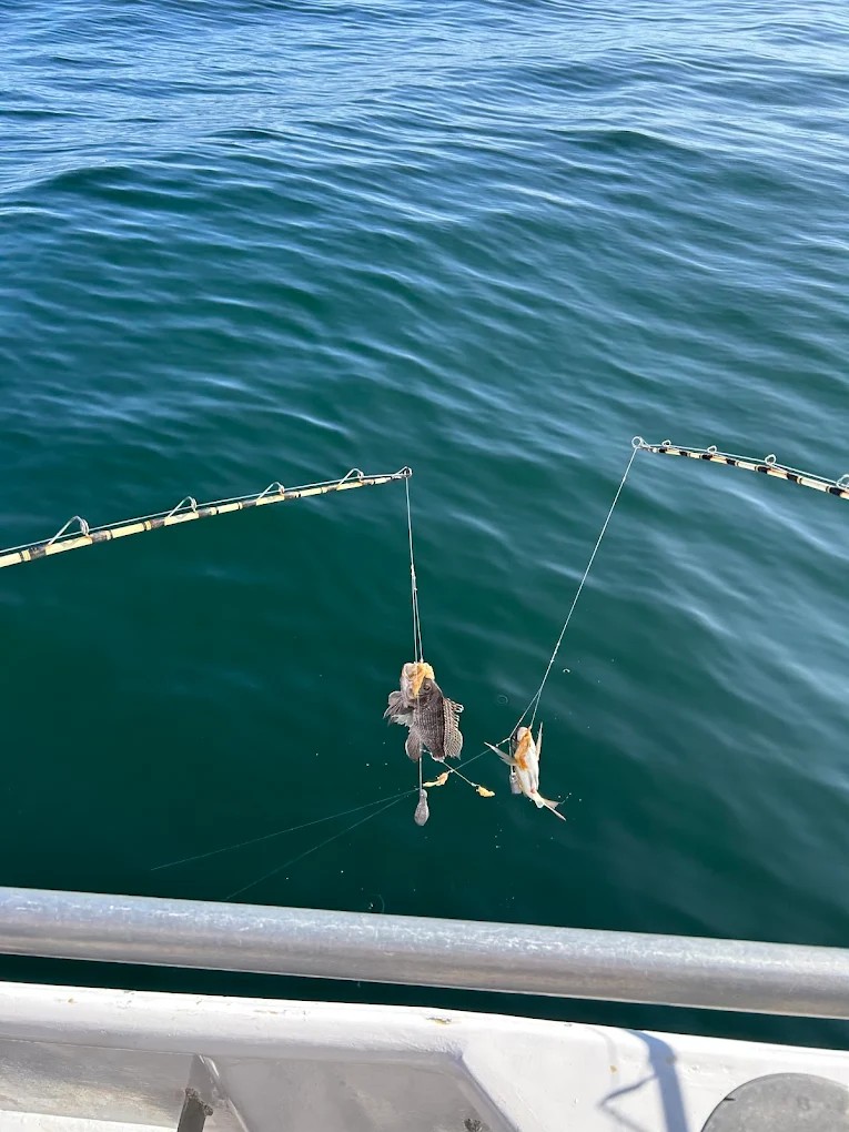 Captain Steve Kearney at the helm of Super Hawk fishing boat in Point Lookout, NY
