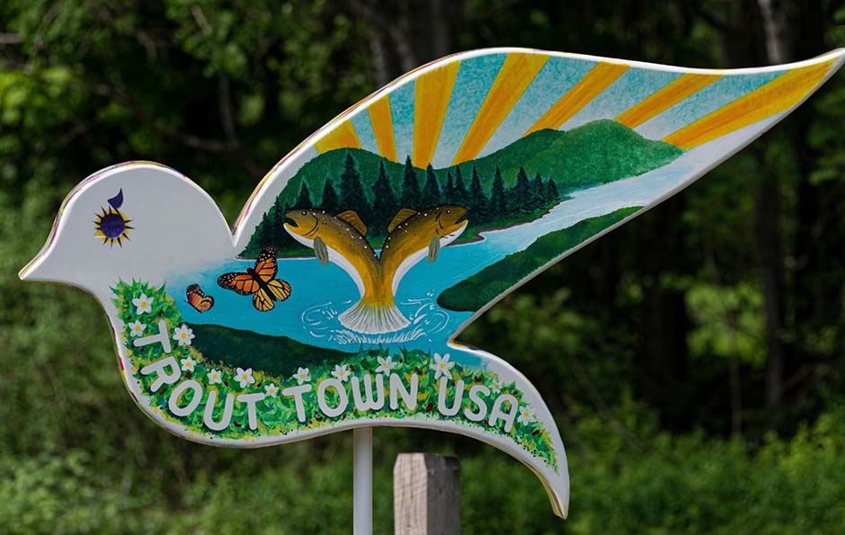 J&S Creekside Cabins Dove Trail hiking