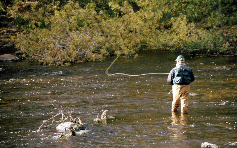 J&S Creekside Cabins fly fishing trout
