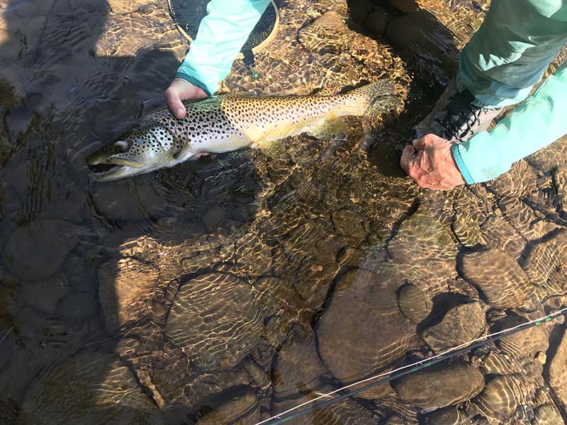 Cabin rentals Catskills supporting Sullivan County tourism — view of Livingston Manor hamlet from creek-side cabin