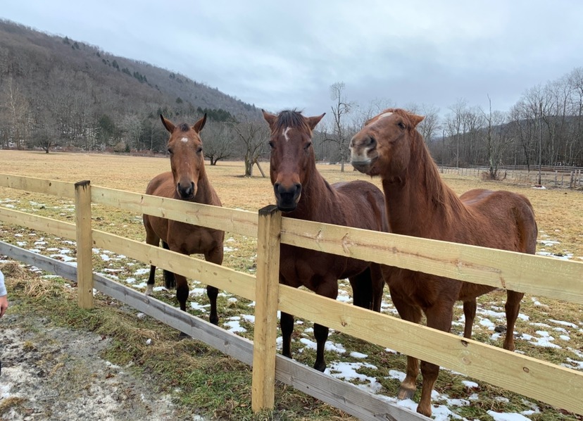 Cabin rentals Catskills near Bethel Woods — creek-side cabin in the Sullivan County mountains