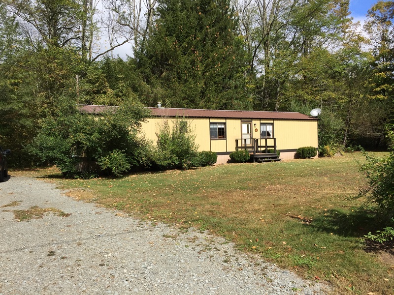 Cabin rentals Catskills in Livingston Manor — rustic creek-side cabins surrounded by Catskill Mountain forest